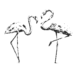 Syn - Programm