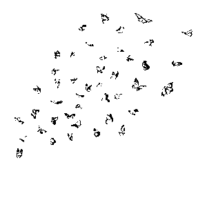 Neo - Programm