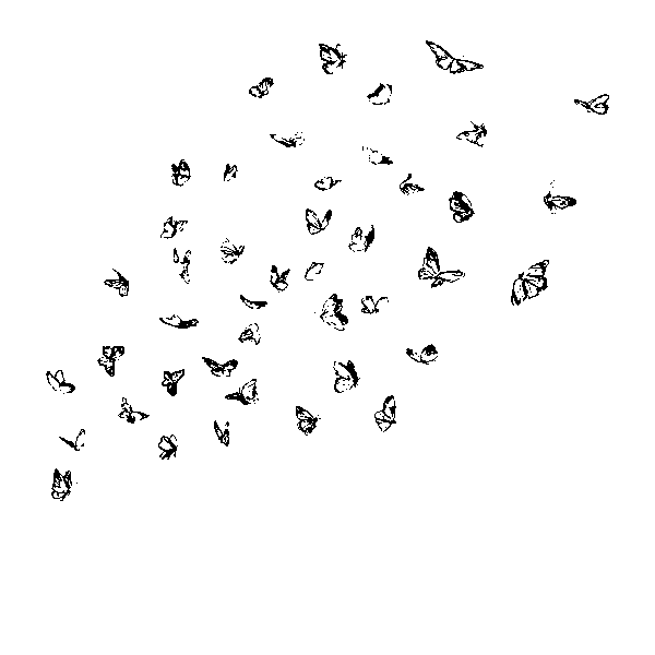 Neo - Programm